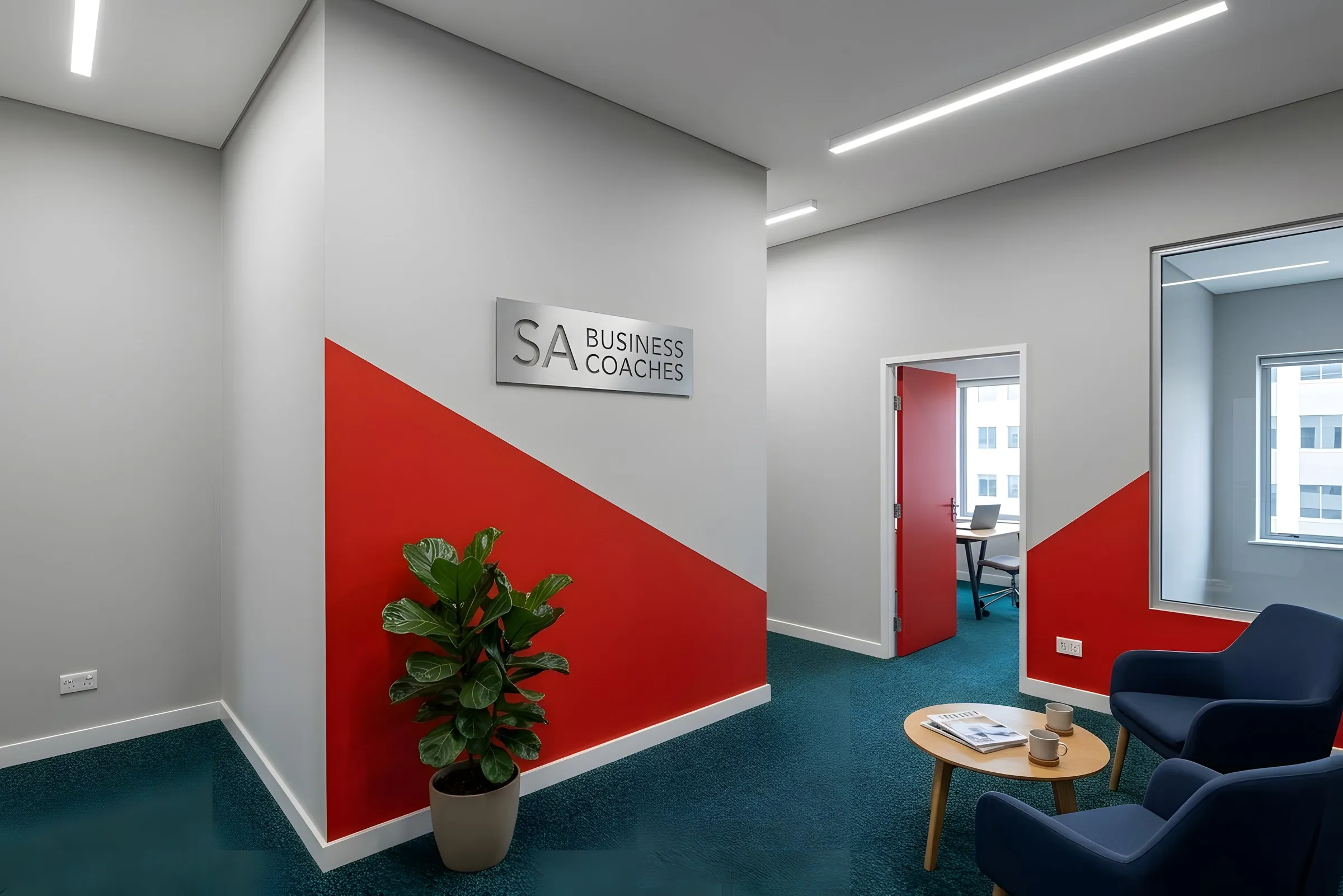 South African Business Coach visualisation 2